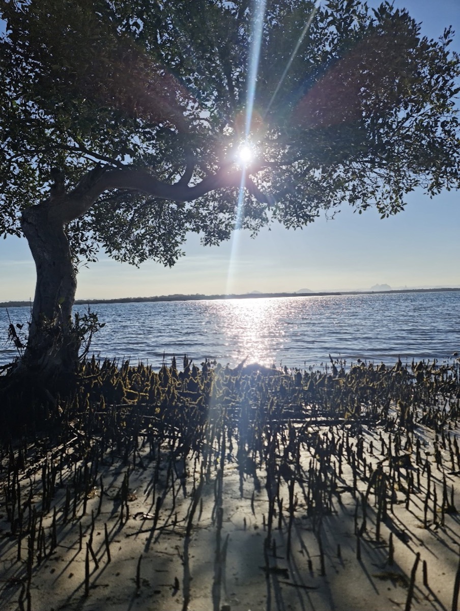 Bribie & Attractions 8