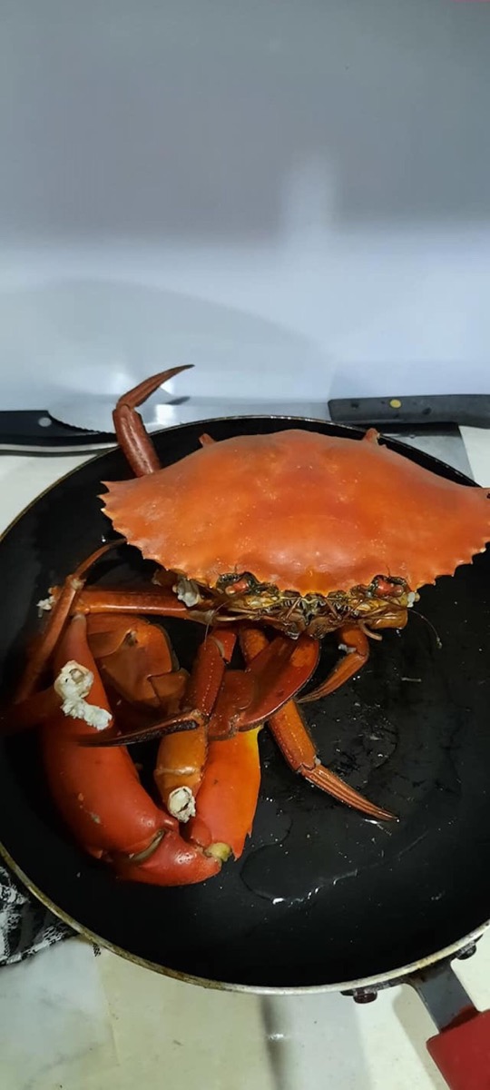 Bribie & Attractions 18