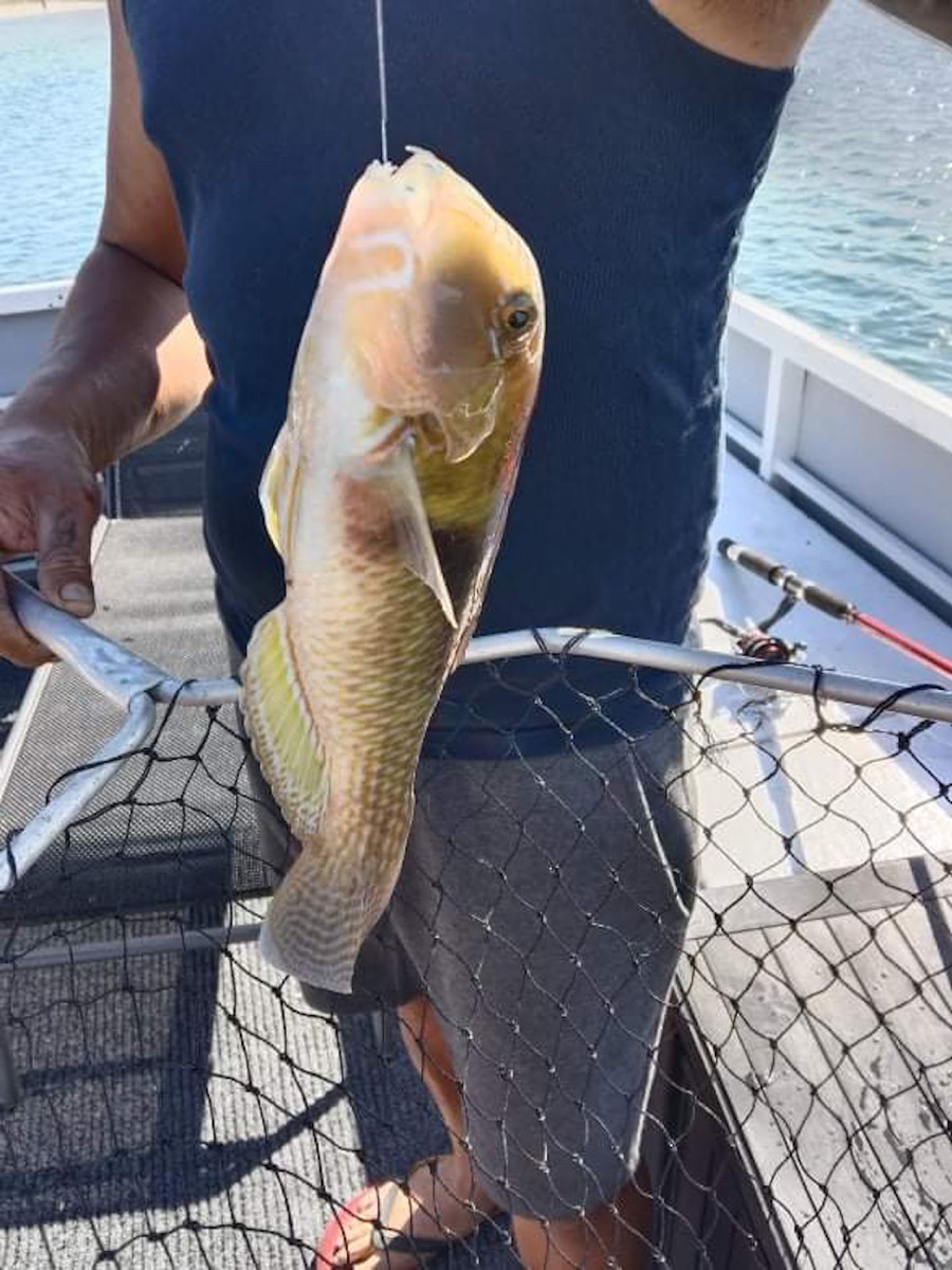 Bribie & Attractions 19