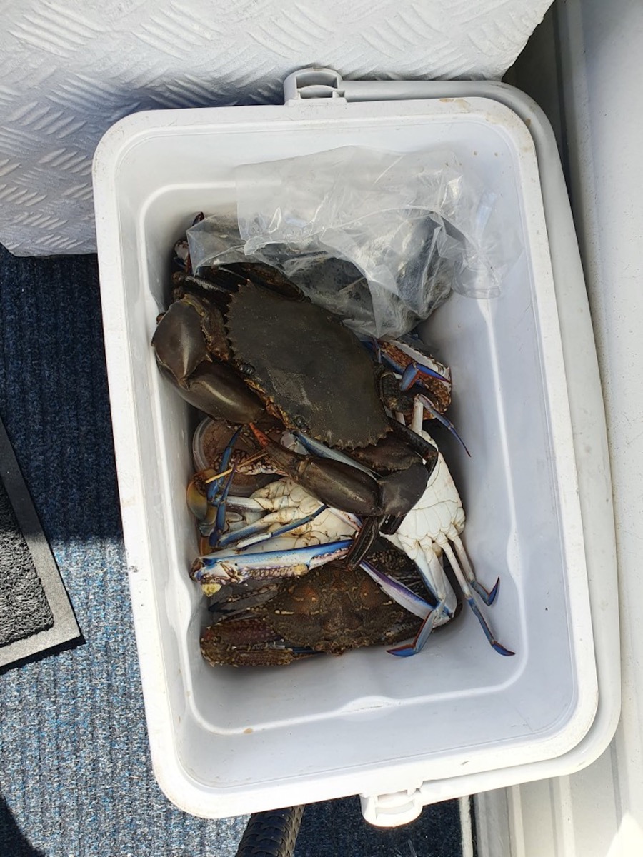 Bribie & Attractions 37