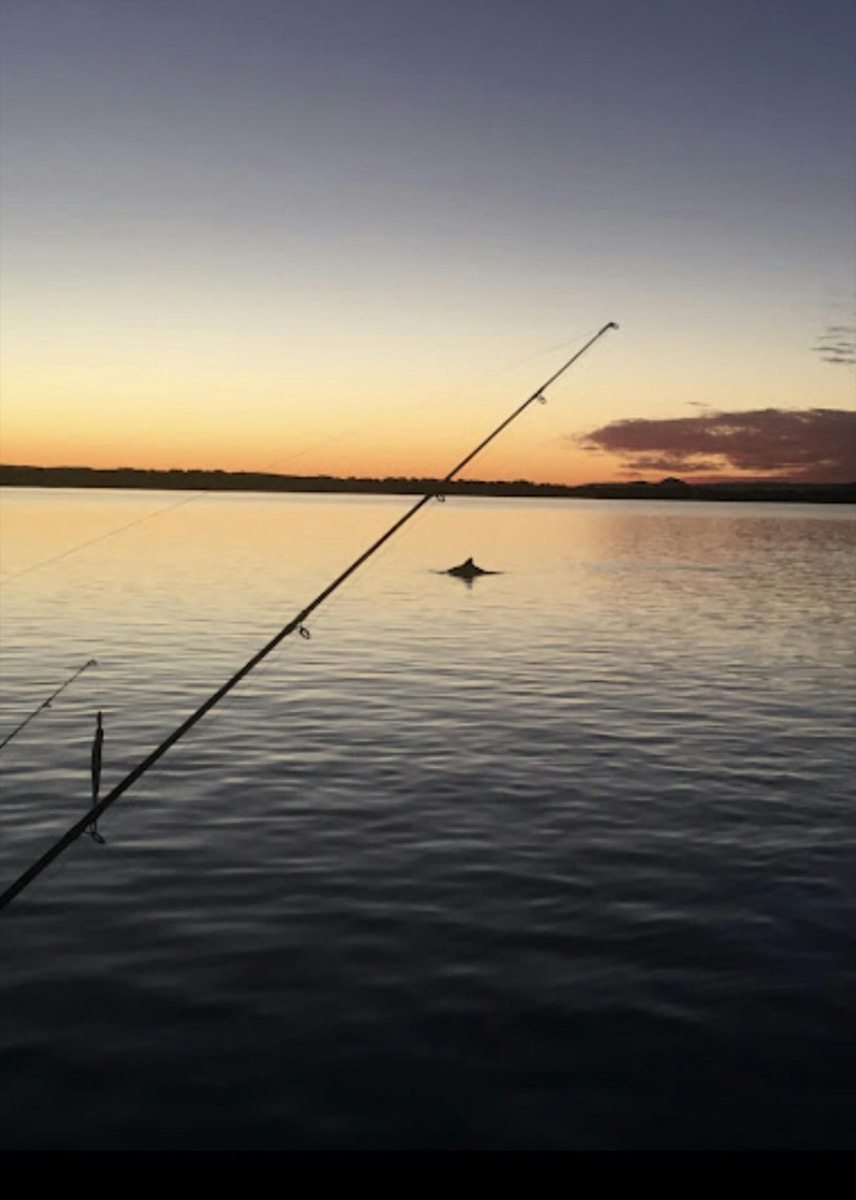 Bribie & Attractions 50