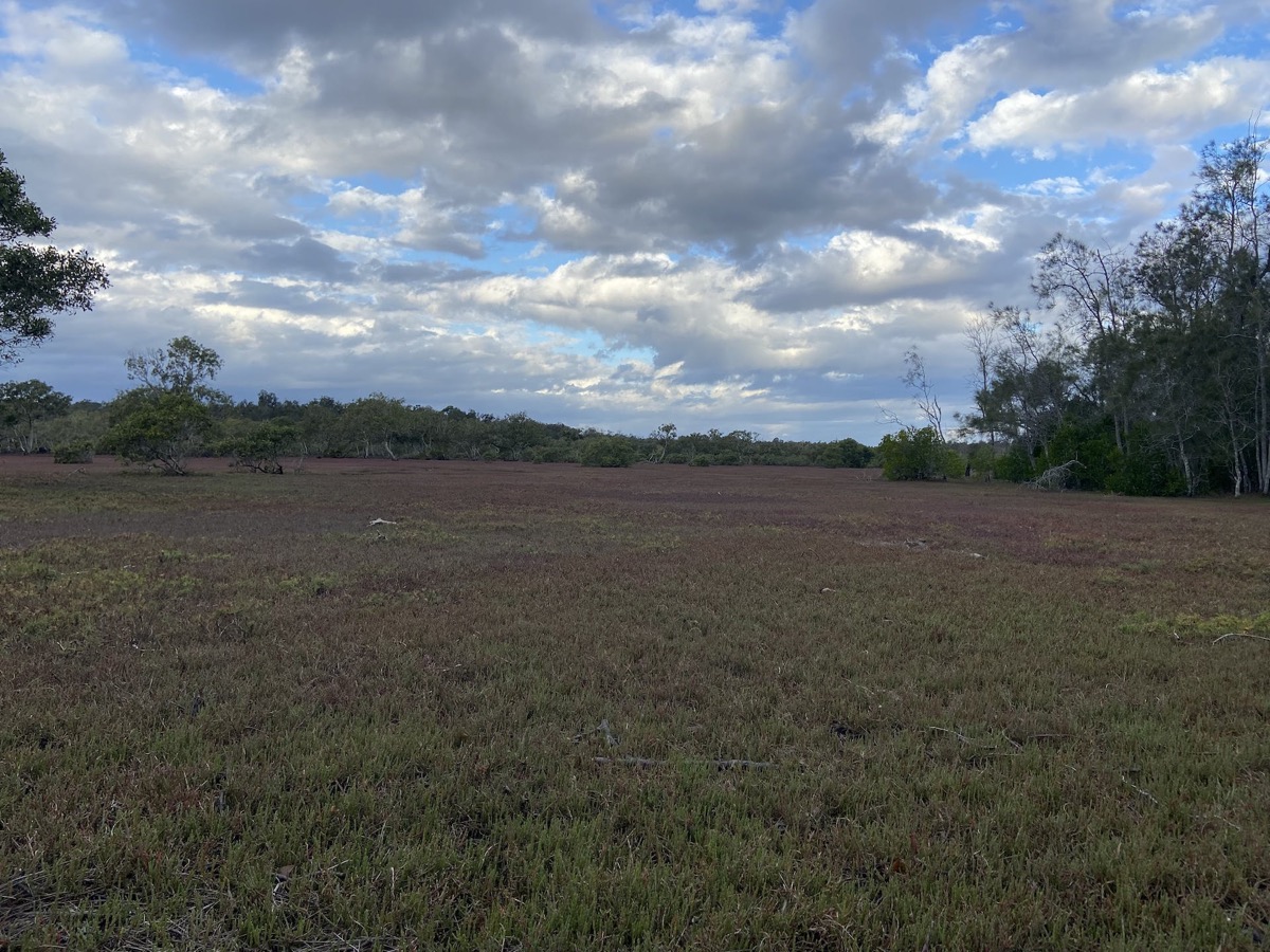 Bribie & Attractions 63